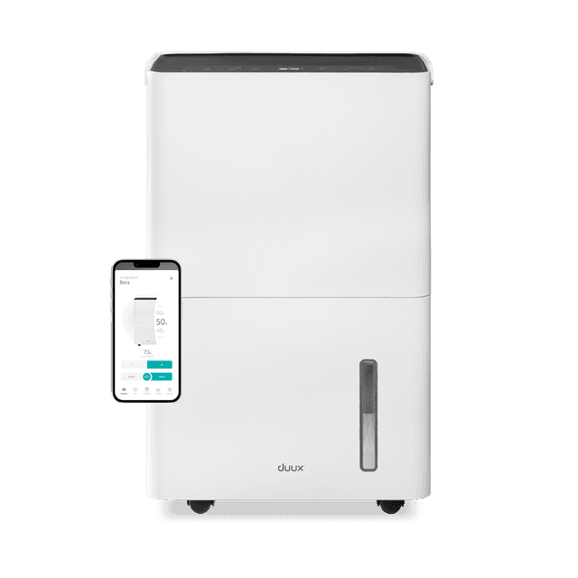 Duux Bora Smart 20L DXDH20 — photo officielle